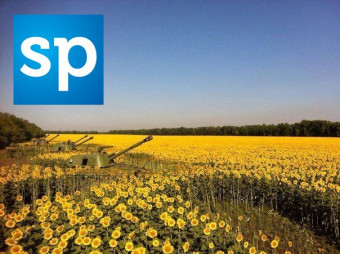 Обзор рынка агрокультур (август 2014)