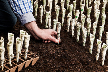 Куда инвестировать сегодня с бюджетом до $150 000?