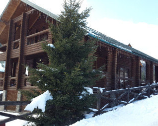 Продажа действующего прибыльного бизнеса в Карпатах (с. Мигово)