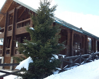 Продажа действующего прибыльного бизнеса в Карпатах (с. Мигово)