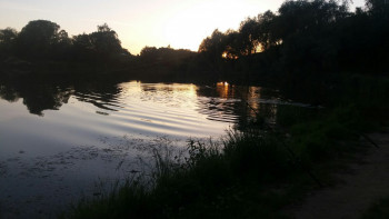 Ищу бизнес партнёра