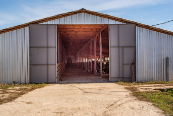 Продажа ЦИК по производству животноводческой продукции (мясо-молочное производство, баранина)