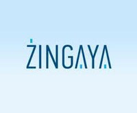 Zingaya привлекла $1,15 млн инвестиций