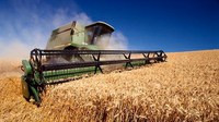 Аграрный сектор Украины нуждается в $50 млрд. инвестиций