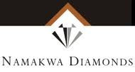 Жена экс-секретаря СНБО и экс-совладельца ИСД приобрела более 10% акций компании, которая занимается добычей алмазов в странах Африки
