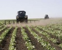 Кабинет Министров Украины увеличит финансирование сельхозкооперативов до 100 млн.грн.