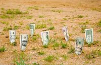 Инвестиции в землю: новые агротехнологии позволяют инвесторам окупить расходы за год-два