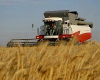 2011 год оказался самым неприбыльным для сельского хозяйства Украины