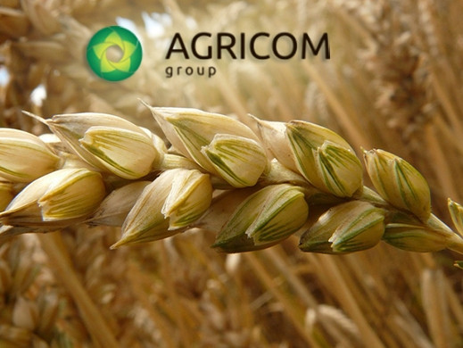 Cyprus Armpitch Holdings to buy blocking stake of domestic Agricom Group