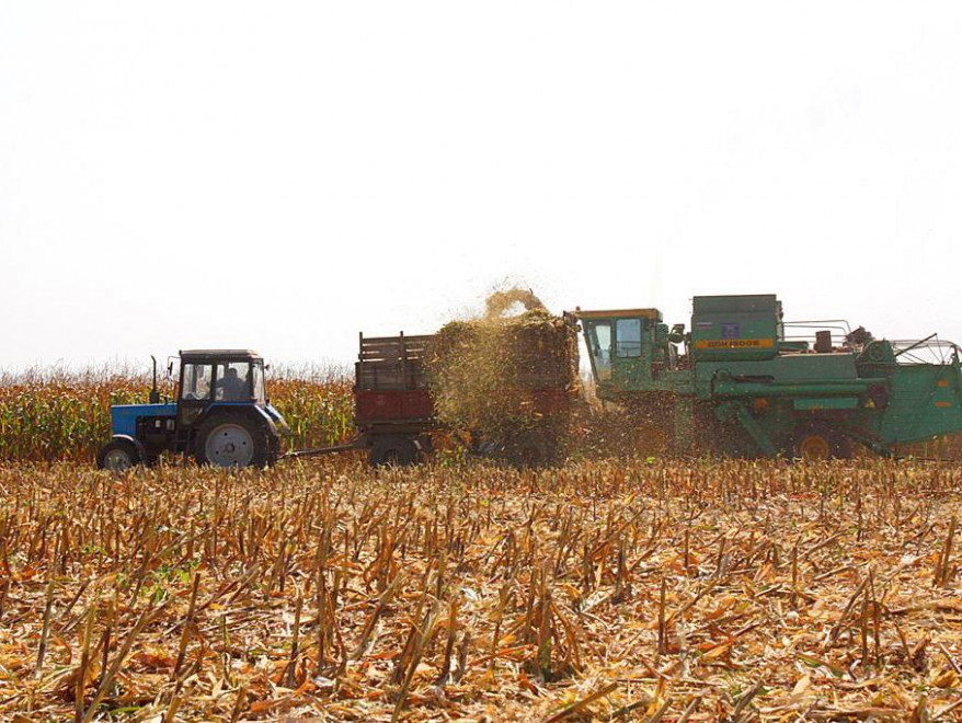 Украинские сельхозкооперативы планируют привлечь 100 млн. евро в 2015 году