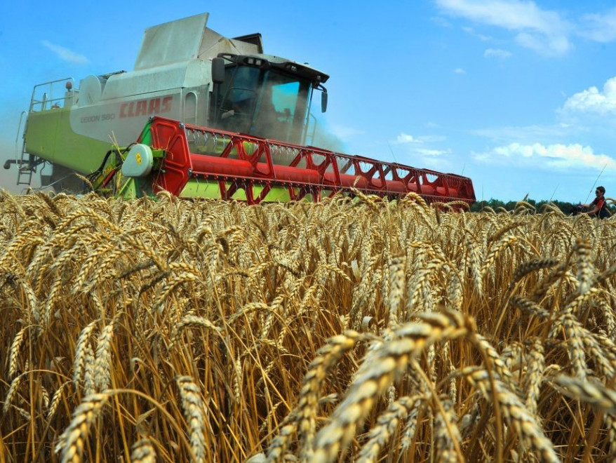 Украинские аграрии смогут получить 400 млн. грн. от "Аграрного фонда" и банка "Украинский капитал"