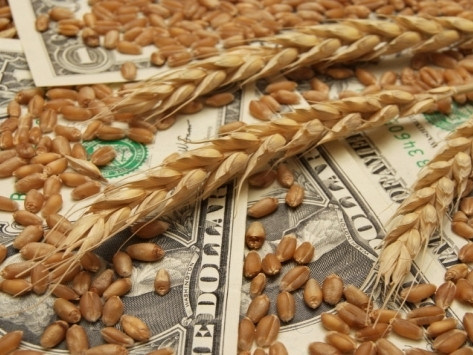Государственная зерновая корпорация вложит $450 млн. в свое развитие