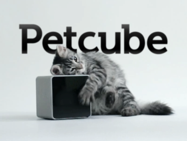 Petcube Raises $2.6 Million Funding Round