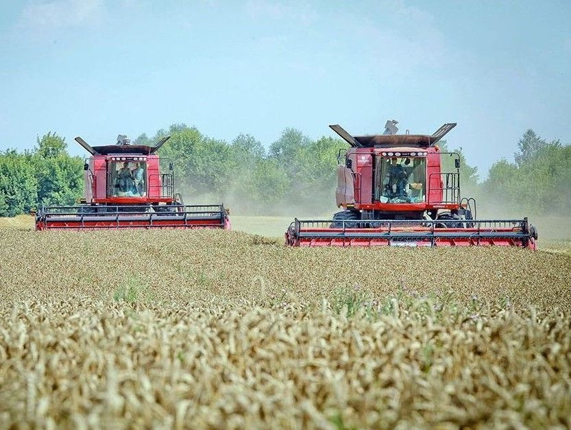 Агрохолдингу "Астарта" открыли кредитную линию на 625 млн. грн