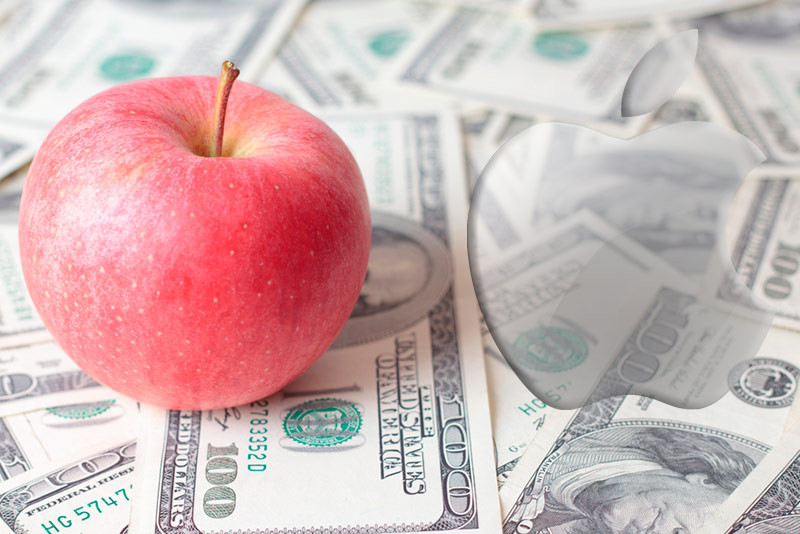 Стоит ли инвестировать в яблочный бизнес?