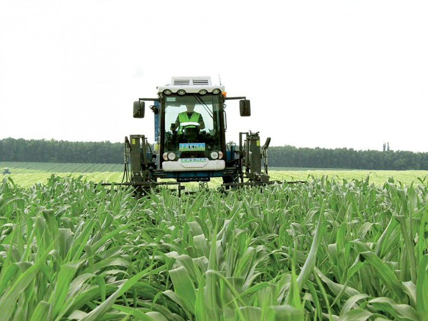 Agricultural LNZ Group to make USD 8mln CAPEX investment into machinery