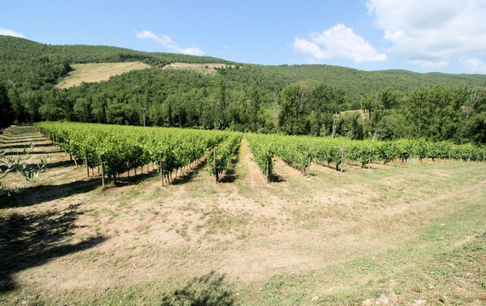 Винодельня в Кьянти, Италия