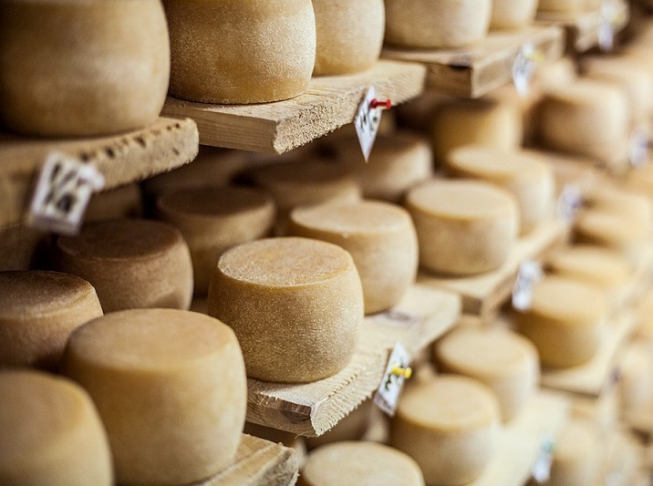 Austrian investor helps launching cheese factory in Ukraine