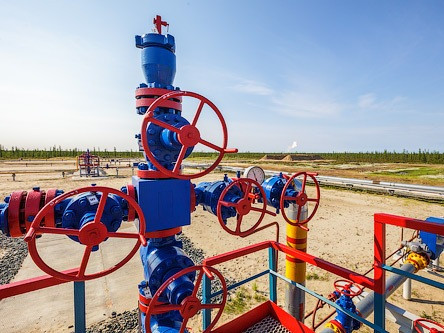 Австрийская компания покупает акции российского газового месторождения 