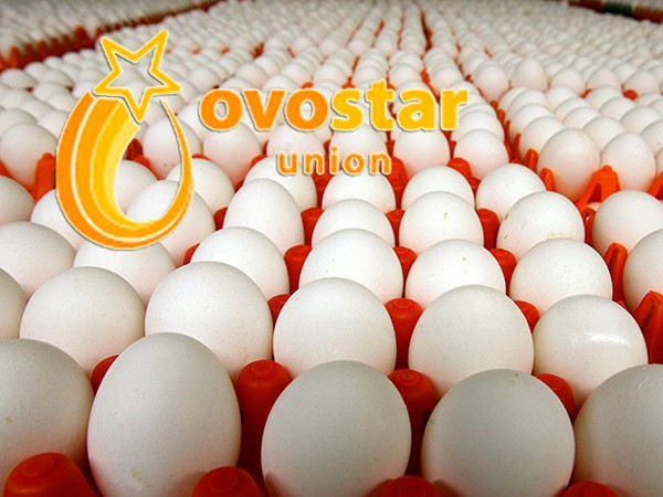На Варшавской бирже продали акции крупного производителя яиц ОВОСТАР за $579 тыс