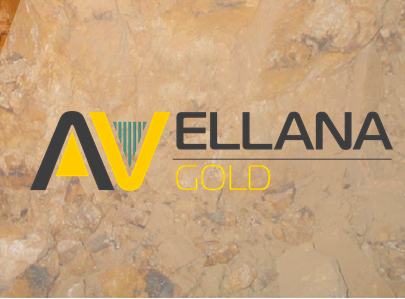 Иностранная компания Avellana Gold заинтересована инвестировать в добывающую отрасль Украины