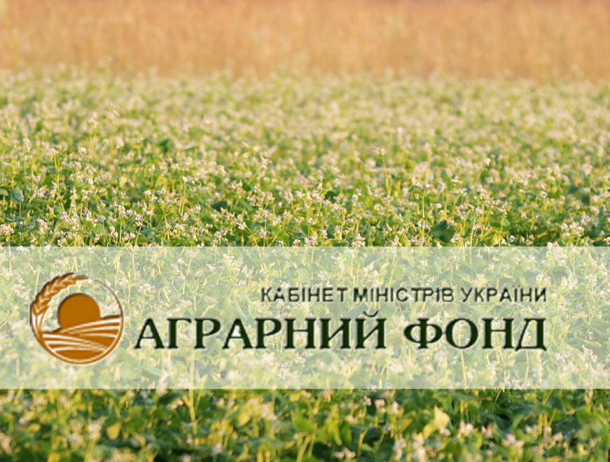 "Аграрный фонд" намерен привлечь 6,7 млрд. грн. кредитных средств