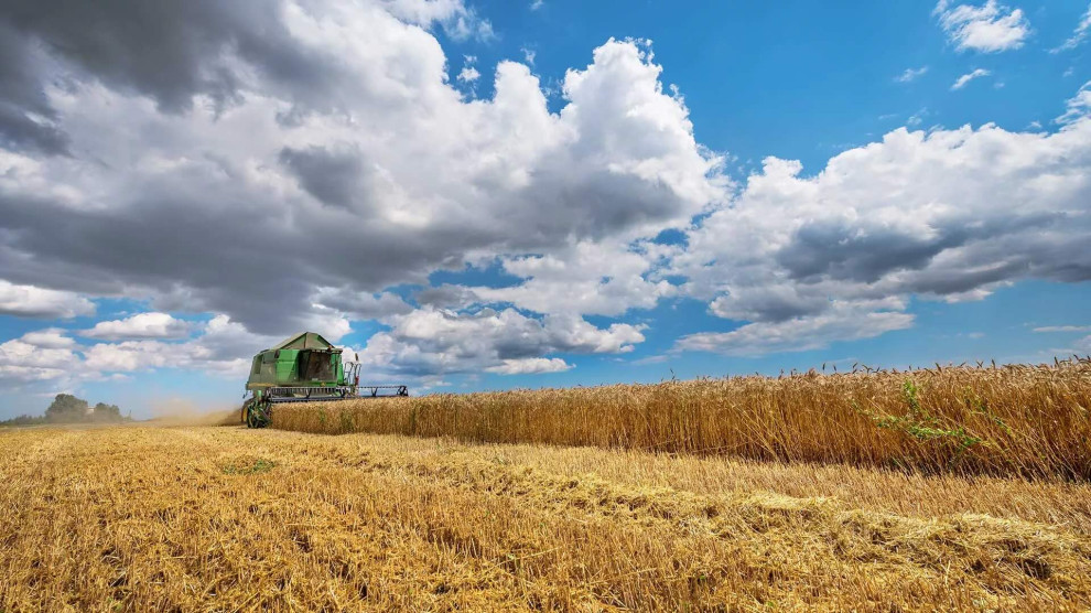 На Вінничині виставили на продаж агропідприємство із земельним банком 2100 га