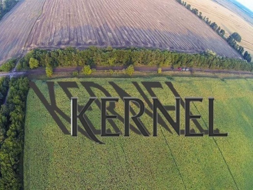 Агрохолдинг "Кернел" готов построить завод в Западной Украине