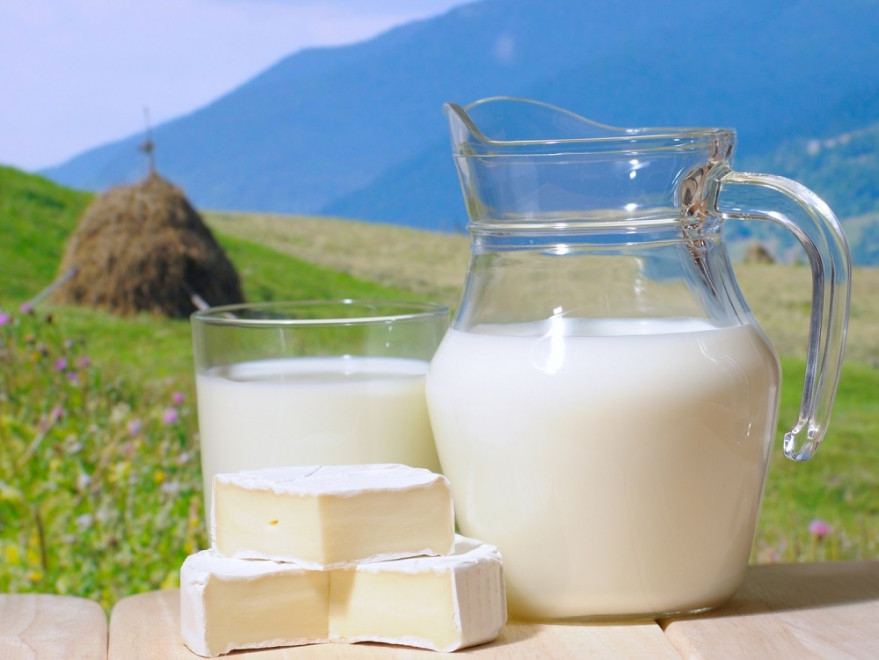 На Львовщине построят завод по переработке козьего молока