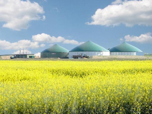 Австрийцы инвестируют 2 млн. евро в биогазовый завод на Тернопольщине
