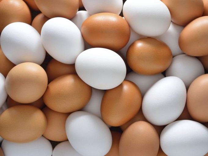 Ukrainian producer of eggs to invest in Poland