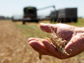 Украинские аграрии смогут привлечь около 3 млрд.долл.США иностранных инвестиций