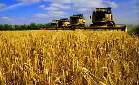 Увеличение прямых иностранных инвестиций в сельское хозяйство составило 10%