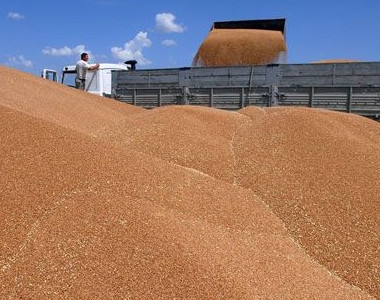 Инвесторы могут вложить в зерновую логистику Украины
