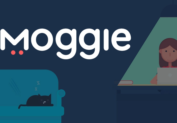 Украинский стартап Moggie попал в шведский акселератор и привлек инвестиции