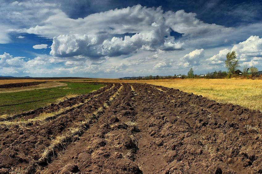 Верховная Рада пролонгировала мораторий на отчуждение сельхозземель Украины до 2017 года