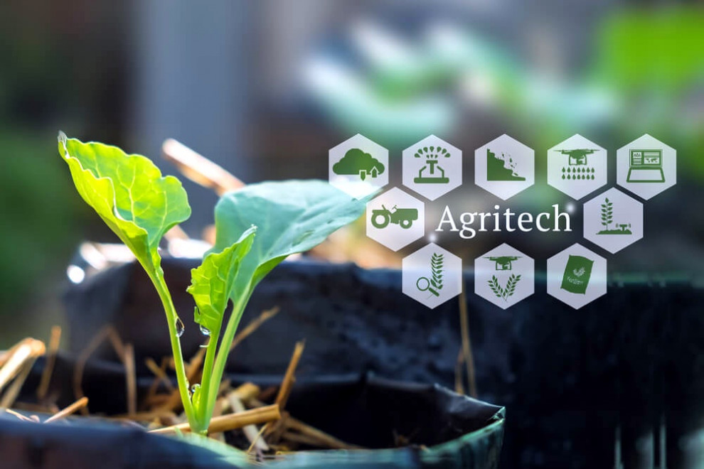 Agritech Ukraine Giude: обзор украинского agritech рынка