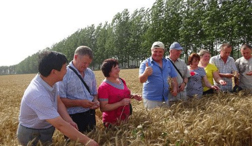Китайские инвесторы добрались до украинского села
