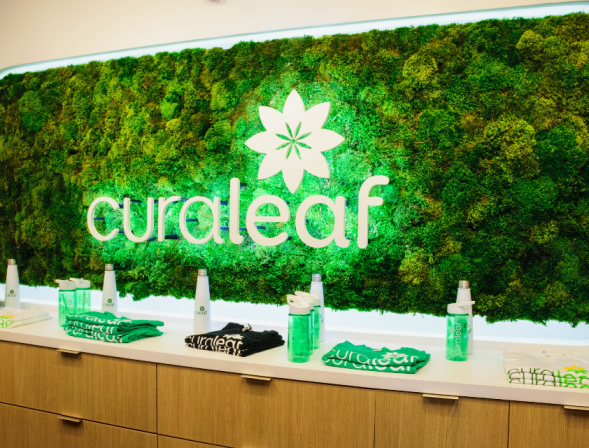 Американского производителя марихуаны Curaleaf оценили в $4 млрд