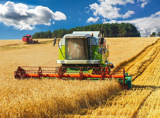 SALIC готова четверть своих инвестиций направлять в украинский агросектор