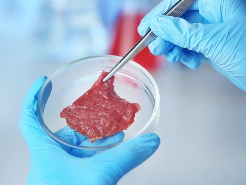 Голландская Mosa Meat, изготавливающая искусственное мясо, привлекла $8,8 млн