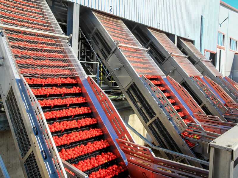 Украинский производитель томатной пасты построит четвертую фабрику