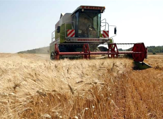 Saudi Continental Farmers mulls purchasing MRIYA Agro Holding 