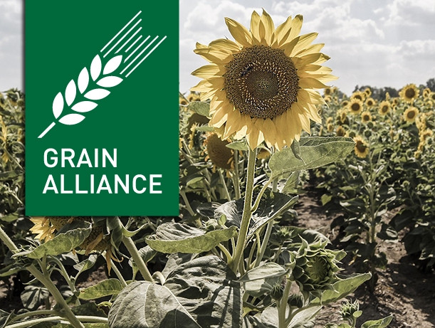 Grain Alliance инвестирует в производство жидких удобрений
