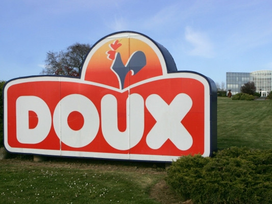Агрохолдинг МХП готов поглотить французского производителя курятины Doux