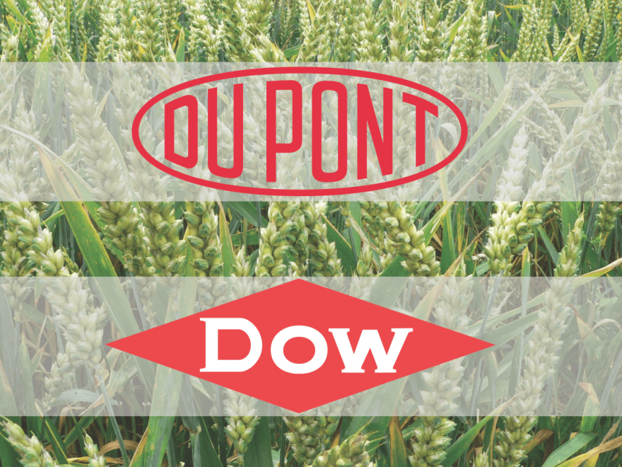 Химический гигант DowDuPont разделится на три компании