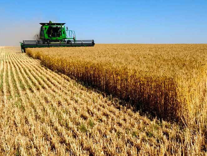 Компания Черновецкого планирует в 2018 году купить агропредприятие