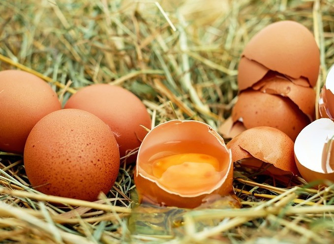 Украинский производитель яиц Овостар открыл «дочку» в ОАЭ