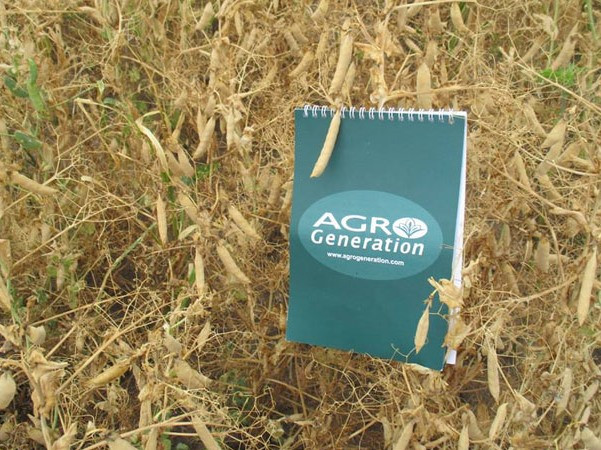 AgroGeneration собирается продать 5 предприятий с зембанком 30 тыс. га