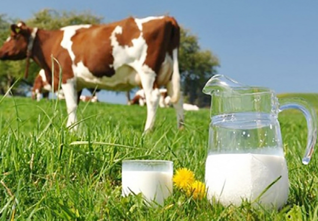 ГК «Молочный альянс» инвестирует 200 млн. грн. в развитие производства